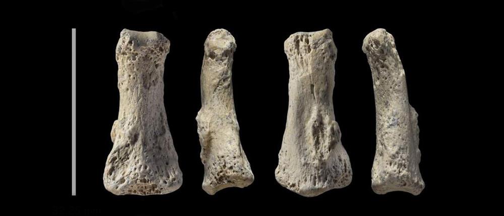 Ανακαλύφθηκε απολίθωμα Homo Sapiens ηλικίας 90.000 ετών!