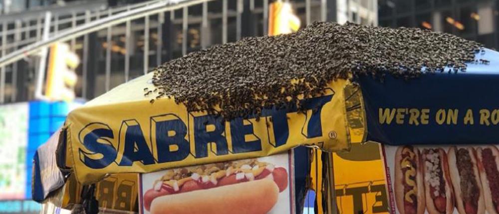 Γέμισε μέλισσες η Times Square! (εικόνες)