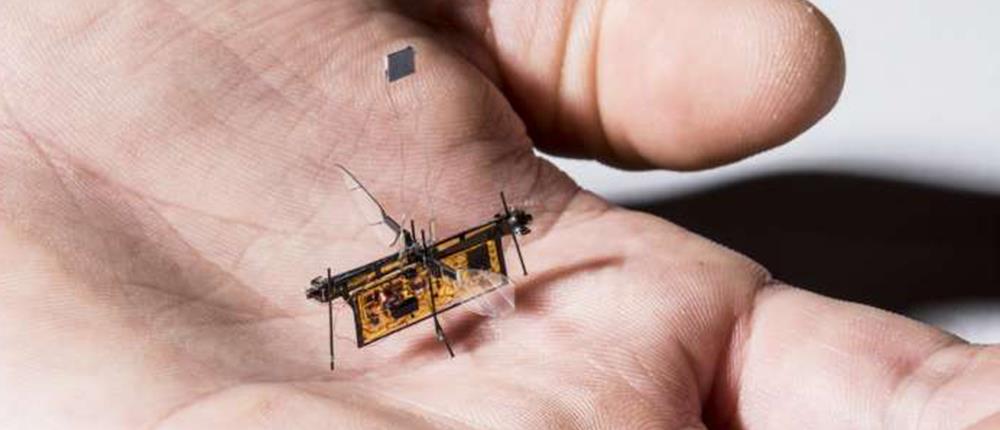 Αυτό είναι το πρώτο ρομπότ - έντομο (βίντεο)
