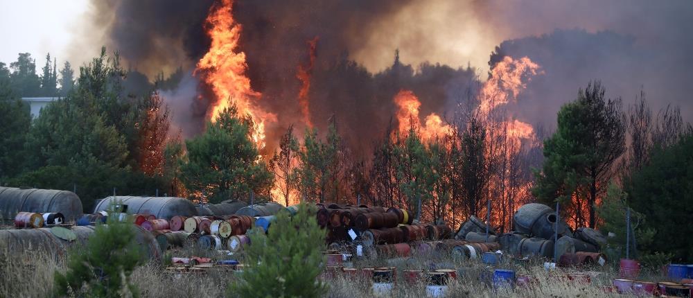 Φωτιά- Ολυμπιακό Χωριό: Μήνυμα από το 112 για εκκένωση