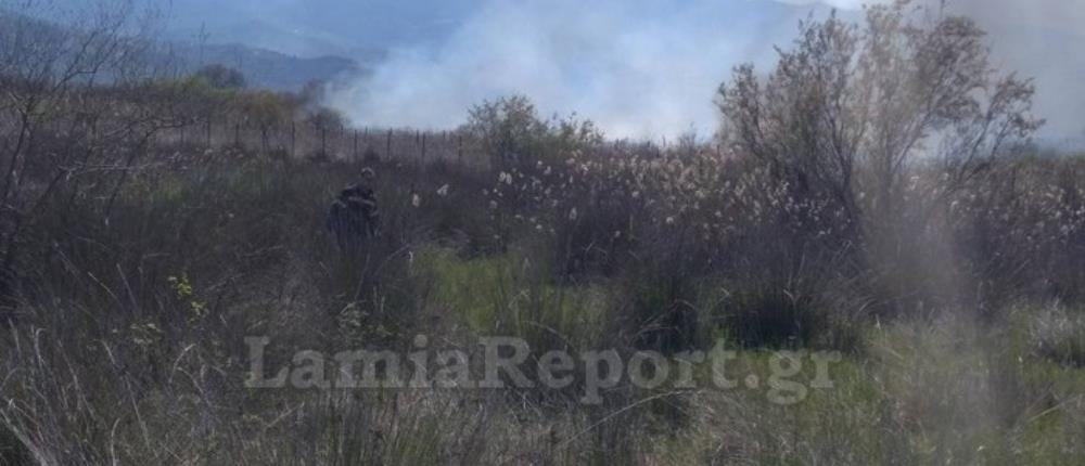 Καμένα Βούρλα: Φωτιά απείλησε σπίτια (εικόνες)