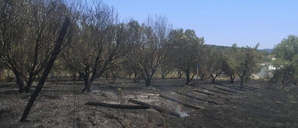 Φωτιές: Μάχη με τις φλόγες σε πολλές περιοχές (εικόνες)