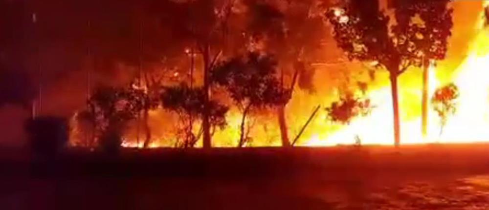 Φωτιά στην ανατολική Μάνη: Ολονύχτια μάχη με τις φλόγες