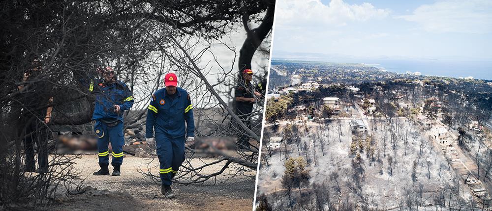 Εθνική τραγωδία: Αλαλούμ με τον αριθμό των νεκρών 