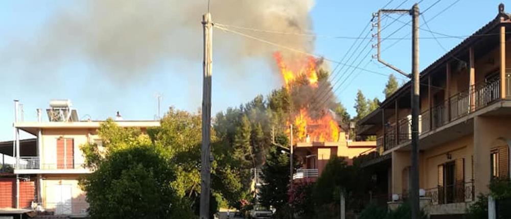 Καλυβάκια: Νέα φωτιά στην Ηλεία (εικόνες)