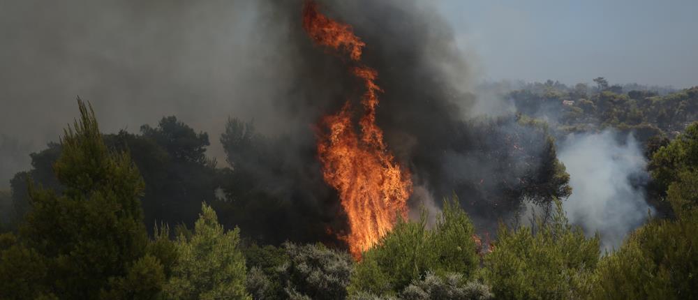 Πυροσβεστική: Δεκάδες φωτιές το τελευταίο 24ωρο