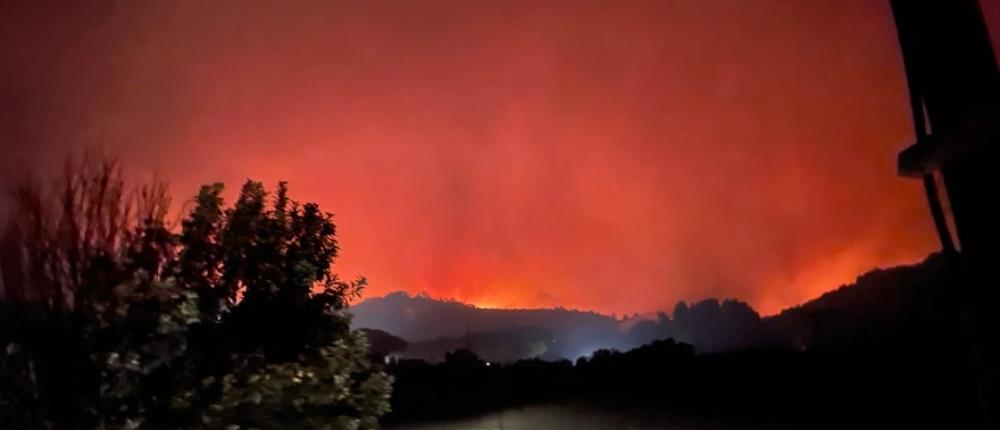 Φωτιές: Νύχτα τρόμου σε Ηλεία, Εύβοια και Μεσσηνία (εικόνες)