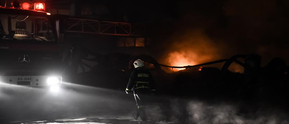 Ολονύχτια μάχη με τις φλόγες στη Σίνδο