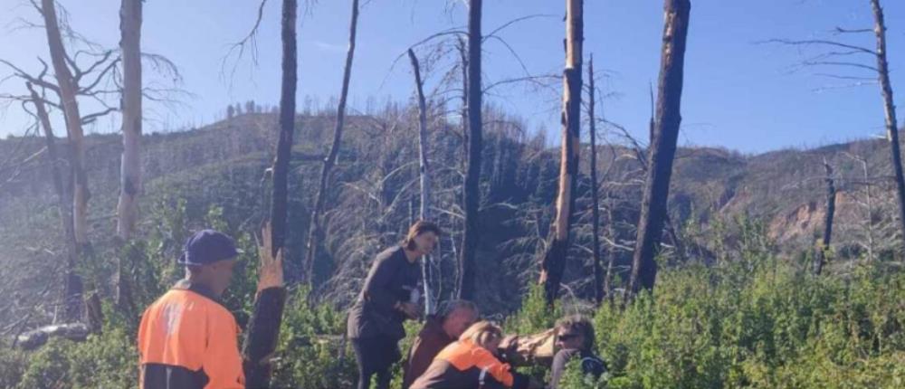 Εύβοια: Αεροδιακομιδή άνδρα που καταπλακώθηκε από δέντρο (εικόνες) 