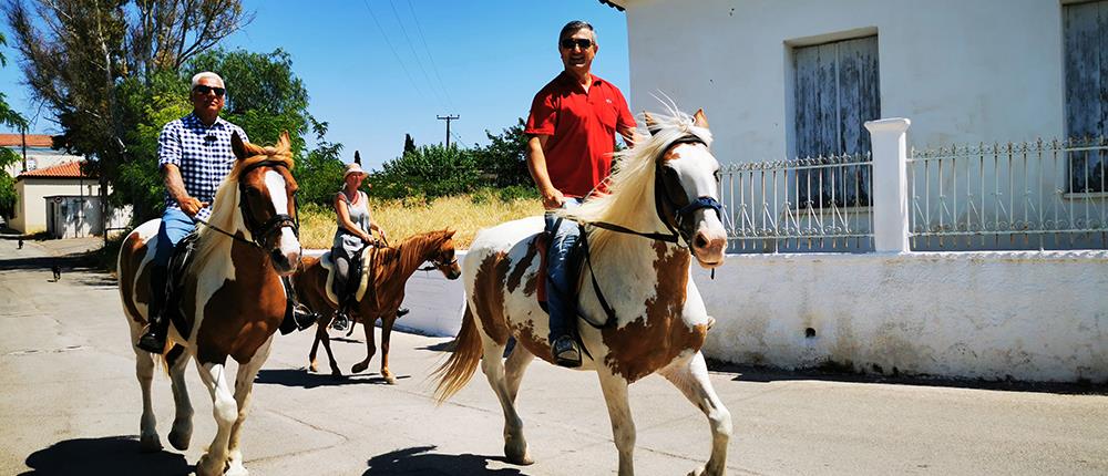 Πήγαν στην κάλπη με... άλογα (εικόνες)