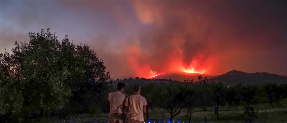 Φωτιά στην Εύβοια: Μάχη με τις φλόγες και μηνύματα για εκκενώσεις (εικόνες)