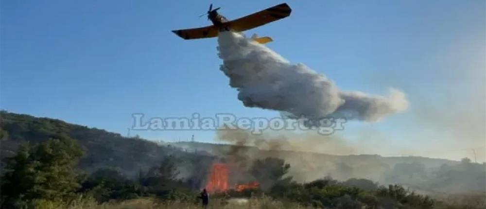 Φωτιά στο Δομοκό (εικόνες)