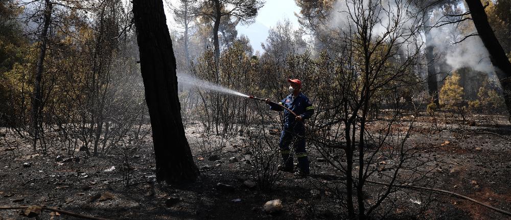 Σέρρες: φωτιά στο Παγγαίο Όρος