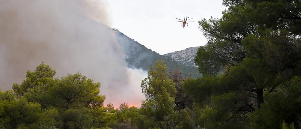 Φωτιά στην Πάρνηθα - Φυλή: Μάχη με τις αναζωπυρώσεις (βίντεο)