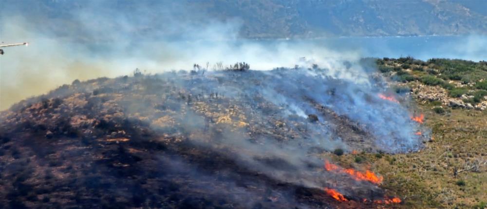 Φωτιά στη Λέσβο - Σηκώθηκαν εναέρια μέσα