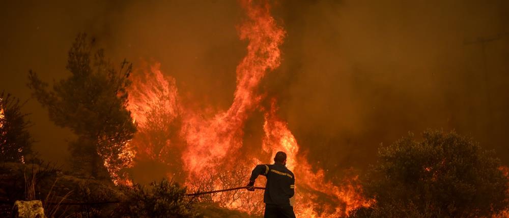 Σέρρες: Φωτιά σε δασική έκταση 