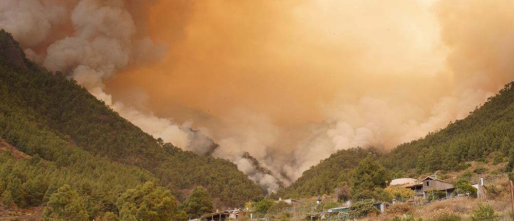 Φωτιά στην Ισπανία: Πύρινη κόλαση στην Τενερίφη (εικόνες)