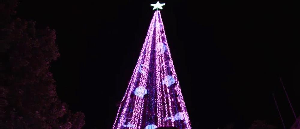 Ένα χριστουγεννιάτικο δέντρο στο Ρεκόρ Γκίνες