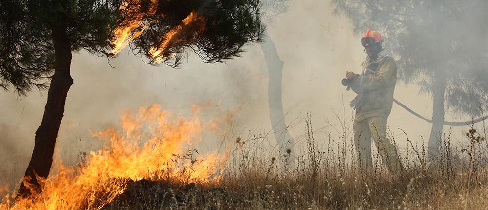 Φωτιές: Σε ύφεση στη Νικήτη και στη Νέα Ζίχνη