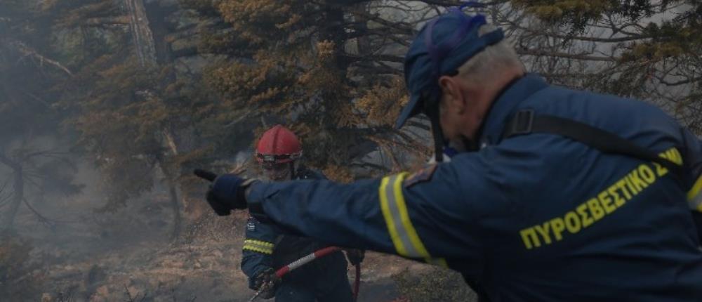 Φωτιά στη Γορτυνία: Τρεις πυροσβέστες στο νοσοκομείο