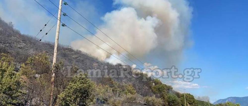 Μεγάλη φωτιά στη Μακρακώμη Φθιώτιδας