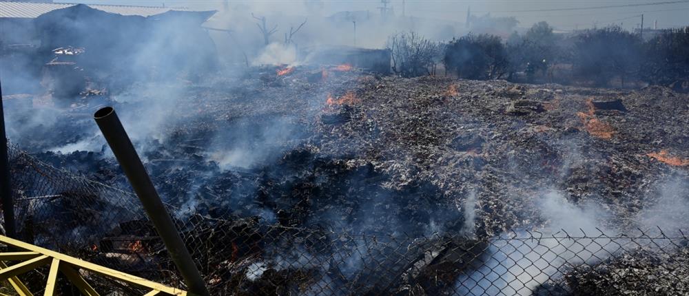 Δωδώνη: Φωτιά απειλεί σπίτια μέσα σε οικισμό