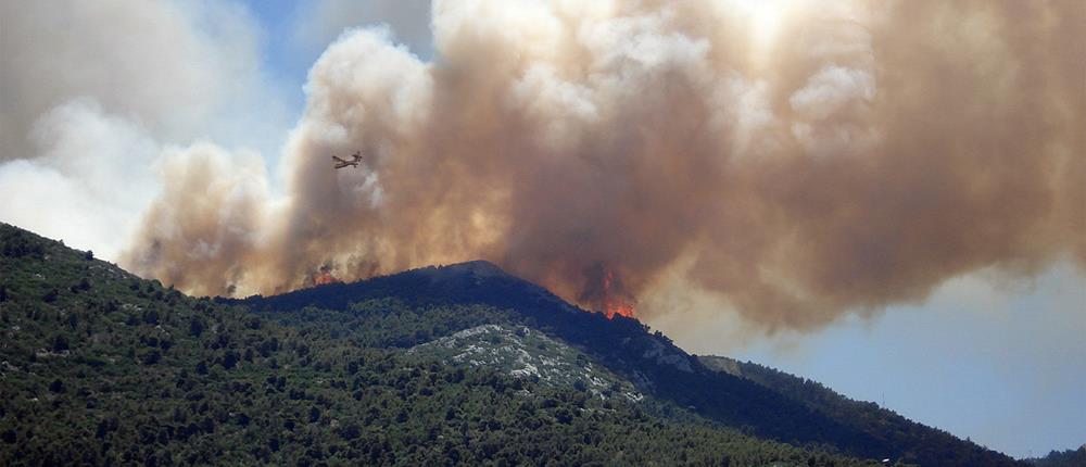 Πυρκαγιά στη Νέα Σάντα Ροδόπης