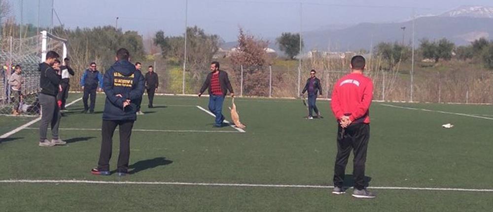 Σκότωσαν σκυλιά σε γήπεδο τοπικού πρωταθλήματος! (βίντεο)