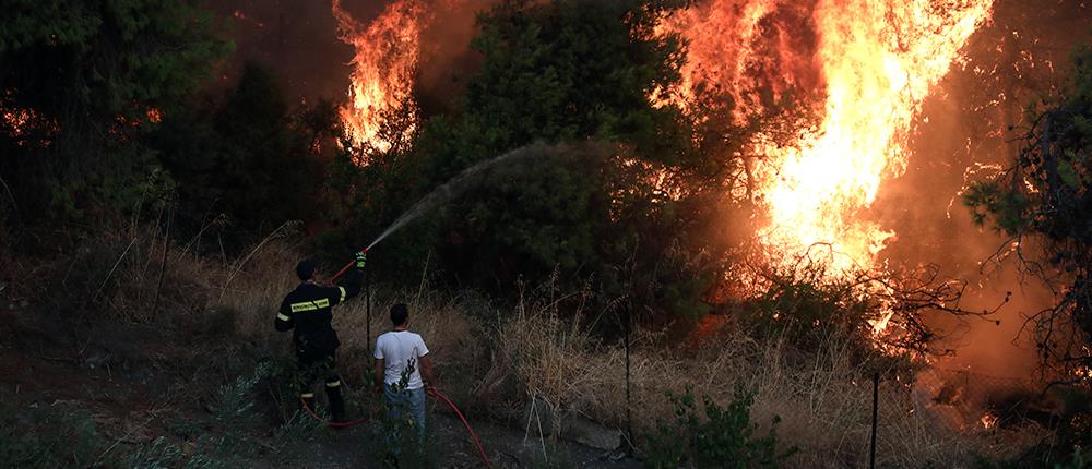 Φωτιά στο Πόρτο Γερμενό: Μήνυμα του 112 για εκκένωση του Μύτικα