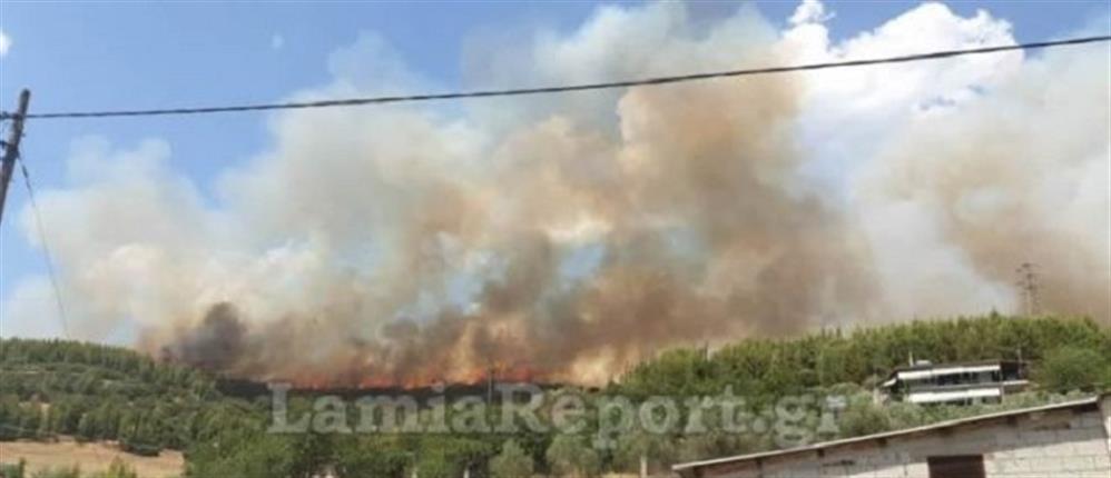 Συναγερμός για μεγάλη φωτιά στη Μακρακώμη