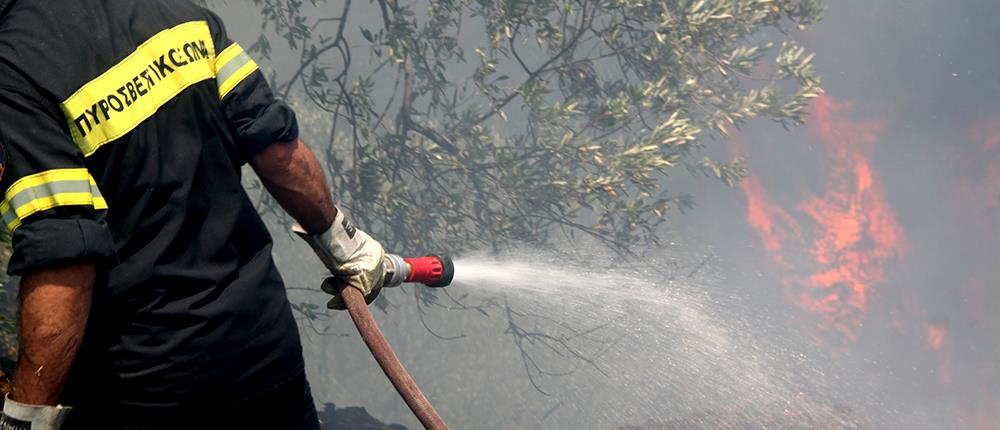 Υπό έλεγχο οι πύρινες εστίες στην ανατολική Μακεδονία