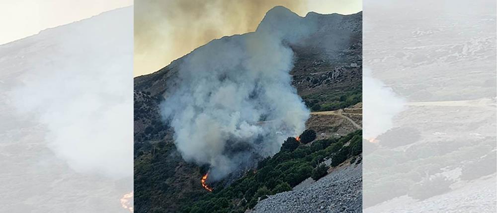 Φωτιά στο Οροπέδιο Λασιθίου (εικόνες)