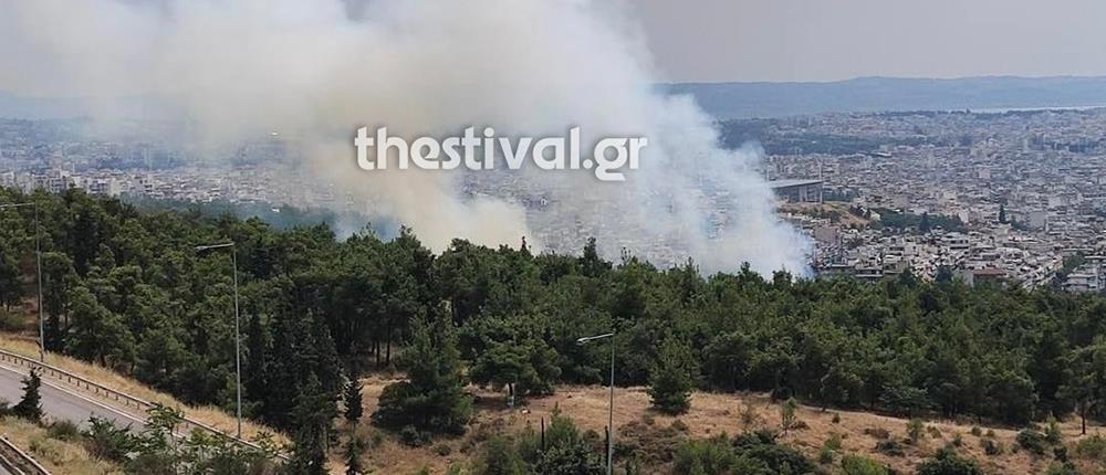 Μεγάλη φωτιά στο Σέιχ Σου (εικόνες)