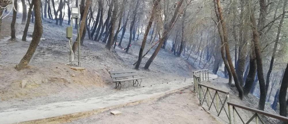 Υπουργείο Πολιτισμού για Μυκηναϊκό Νεκροταφείο στην Αχαΐα: Καμία φθορά στις αρχαιότητες