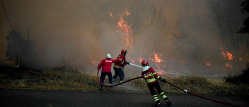 Αναζωπυρώθηκαν τα πύρινα μέτωπα σε Πορτογαλία και Κορσική (βίντεο)