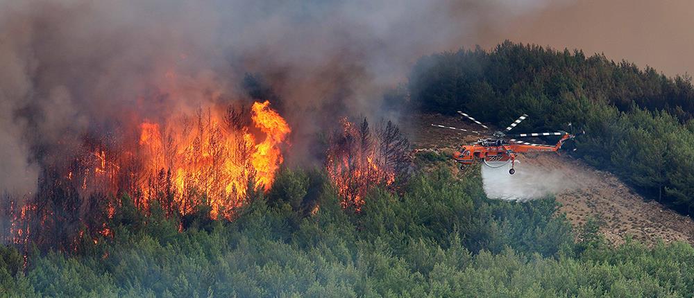 Ολονύχτια μάχη με τις φλόγες στη Νέα Σάντα Ροδόπης