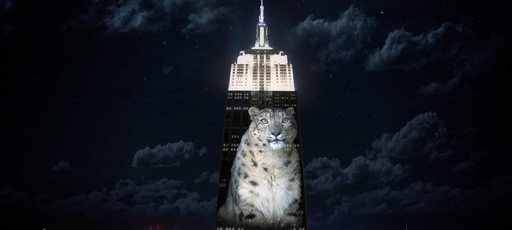 Ο Σέσιλ και είδη προς εξαφάνιση... ανέβηκαν στο Empire State Building