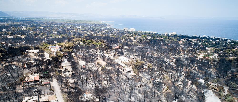 Νέοι δασικοί χάρτες: τι προβλέπεται για τις πυρόπληκτες περιοχές της Ανατολικής Αττικής