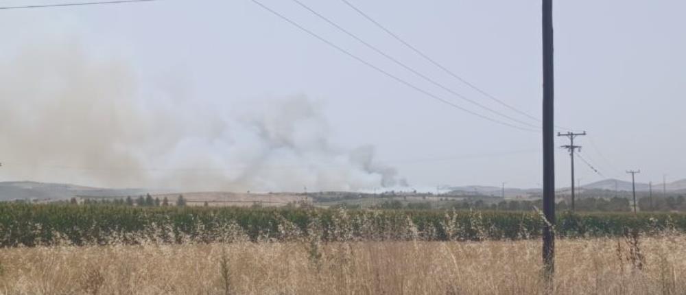 Φωτιά στο Βελεστίνο - Μήνυμα 112 και εκκενώσεις