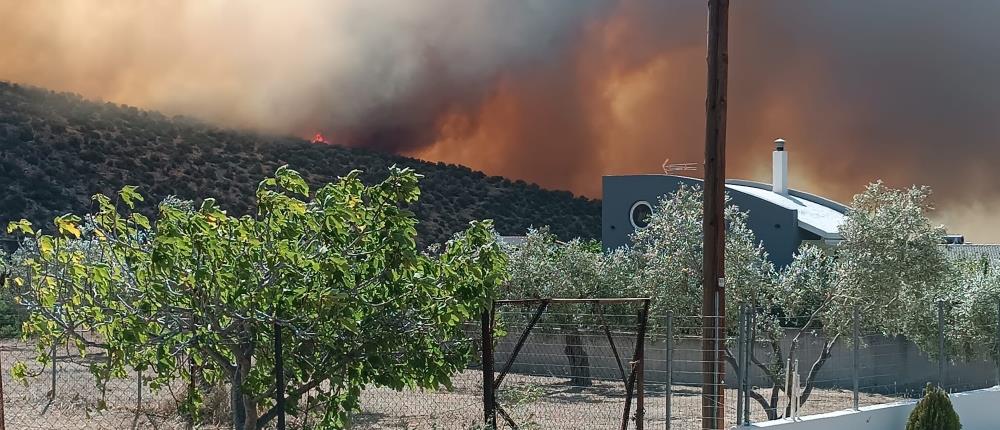 Φωτιά στη Βοιωτία: Οι ισχυροί άνεμοι δυσχεραίνουν το έργο της πυρόσβεσης