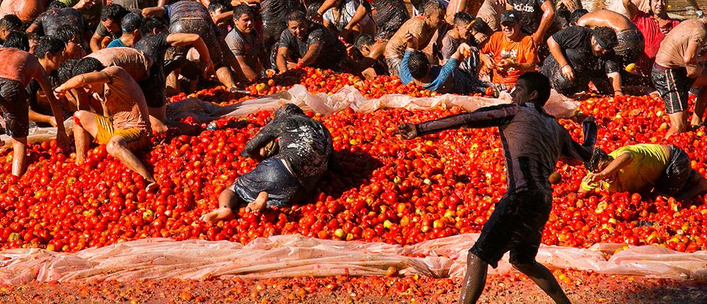 Μια πόλη στα… κόκκινα από τον ντοματοπόλεμο (βίντεο)