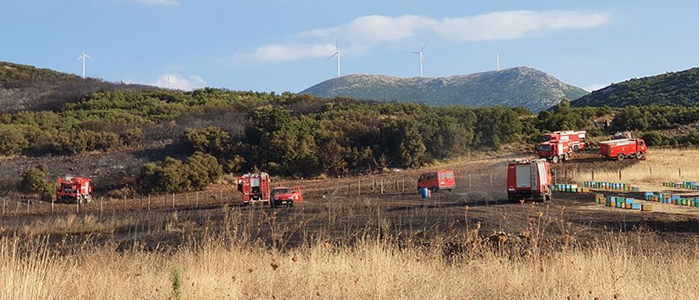 Μεγάλη πυρκαγιά ξέσπασε στις Ερυθρές Αττικής