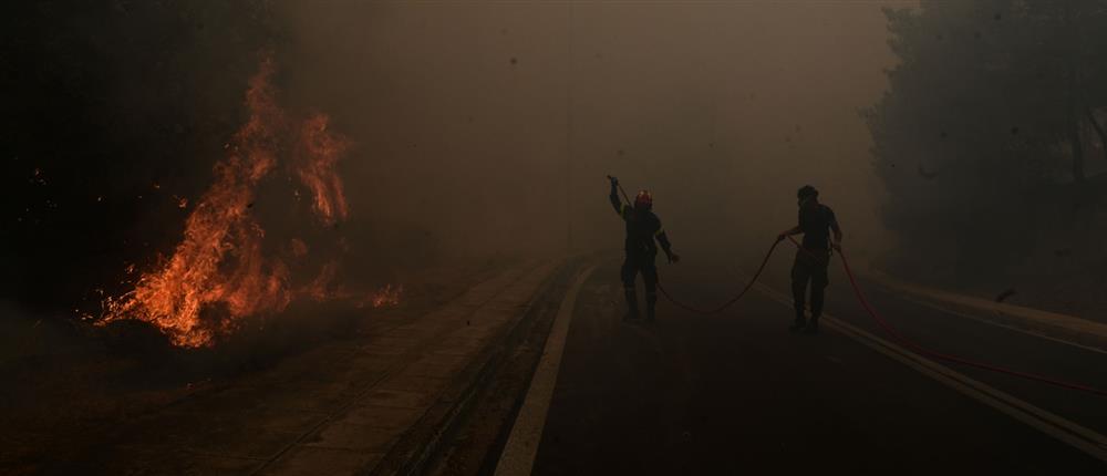 Φωτιά στα Ιωάννινα: Πυρκαγιά σε δασική έκταση - Στη μάχη και τα εναέρια