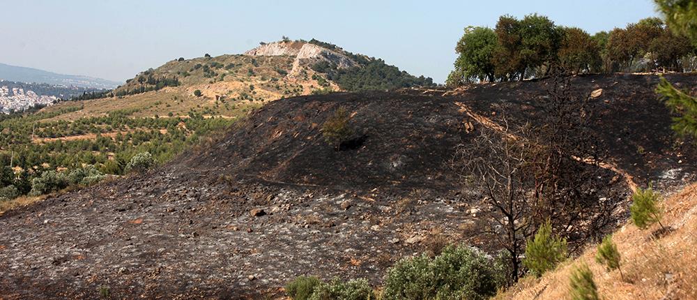 Γαλάτσι - Τουρκοβούνια: Ποιος ήταν ο άνδρας που βρέθηκε νεκρός