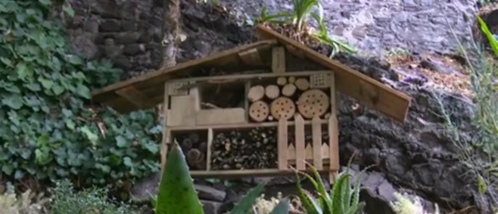 “Ξενοδοχείο” για έντομα σώζει τη διατροφική αλυσίδα (βίντεο)