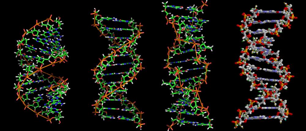 Ανακαλύφθηκαν γονίδια που συνδέονται με την ευφυΐα