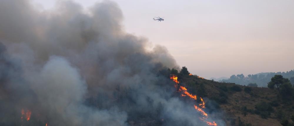 Φωτιά στην Αττική: Στις Αφίδνες το μεγάλο πύρινο μέτωπο 