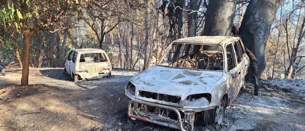 Φωτιά στην Πάτρα: Διάσπαρτες εστίες σε γειτονιές - Εκκενώθηκαν νοσοκομείο και ιδρύματα (εικόνες)