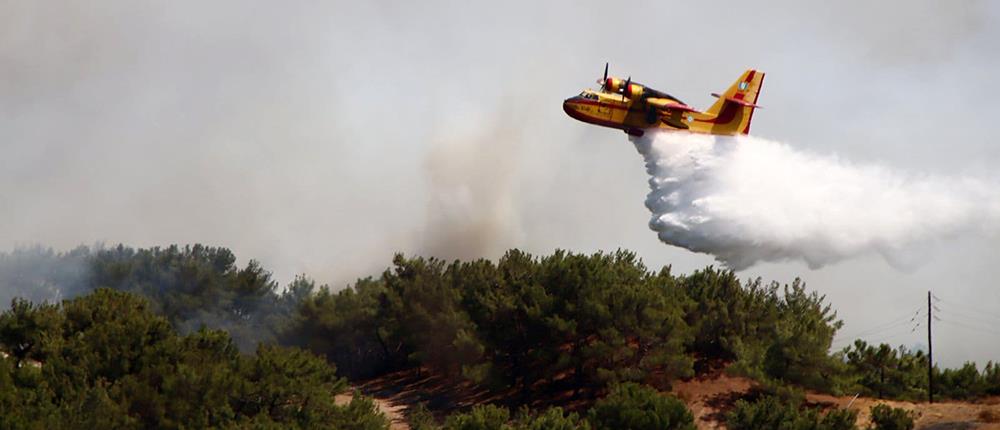 Φωτιά στη Λέσβο: Δύο ιερείς στη μάχη με τις φλόγες (βίντεο)