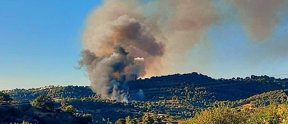 Φωτιά στο Κρανίδι: δύο συλλήψεις για εμπρησμό